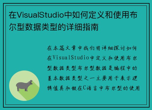 在VisualStudio中如何定义和使用布尔型数据类型的详细指南