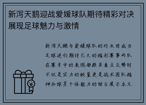 新泻天鹅迎战爱媛球队期待精彩对决展现足球魅力与激情