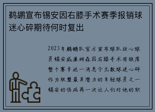 鹈鹕宣布锡安因右膝手术赛季报销球迷心碎期待何时复出